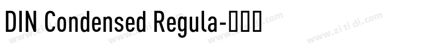 DIN Condensed Regula字体转换